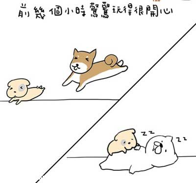 С����ͻȻû�������Ʋ��֣����׷���ʲô����?
