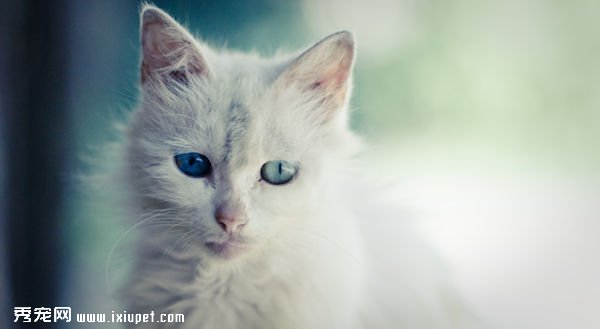 Խ��Խ�������Ҫ��������