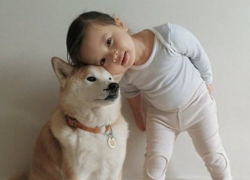 �������������ȹ�������������ͼ