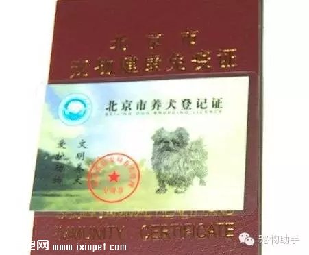 ���ڹ�֤��ô�죿��������֤����ʵ�ý̳̣�