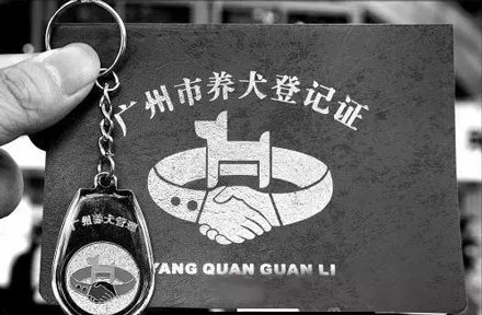 ���ڹ�֤��ô�죿��������֤����ʵ�ý̳̣�