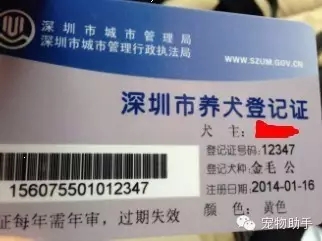 ���ڹ�֤��ô�죿��������֤����ʵ�ý̳̣�