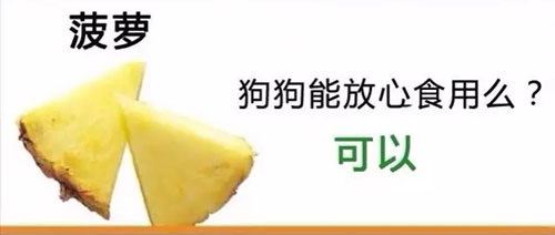 �������ܳԵ���Щˮ��,�㶼ι����?