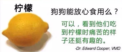 �������ܳԵ���Щˮ��,�㶼ι����?