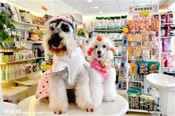 ����7��������������ǧԪ ������������Ǯ��