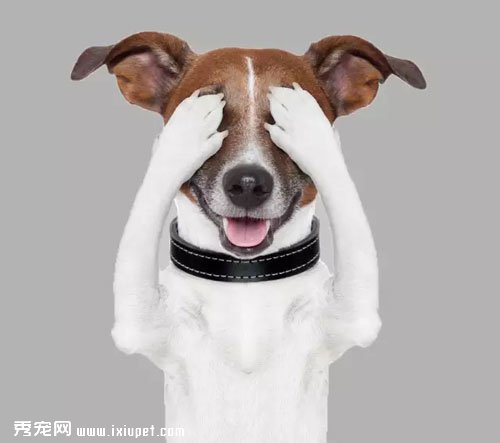 �����۾�������ʶ���۾��쳣������6������Ѷ�ţ�