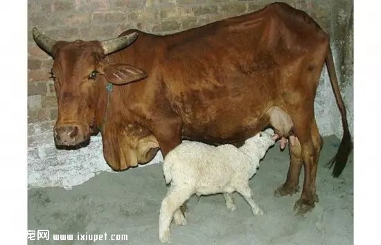 �����ϻ�Ҳ��˯��һ�𣬶������綼������ ��