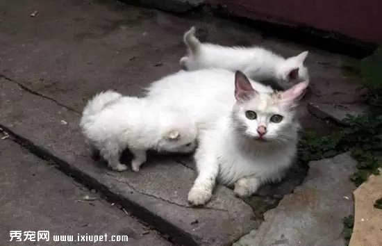�����ϻ�Ҳ��˯��һ�𣬶������綼������ ��
