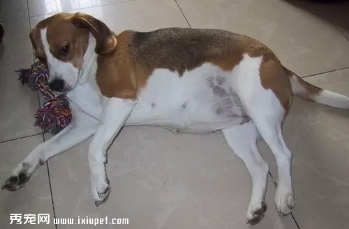 �������ڻᷢ����Щ�仯���������̼���Ҫע��ʲô��