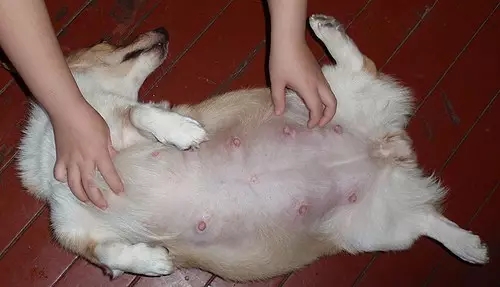 �������ڻᷢ����Щ�仯���������̼���Ҫע��ʲô��