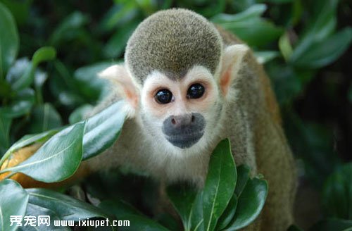 ��������Ǯ_������?�����ͼƬ_����ϰ��_�۸�ͼ��
