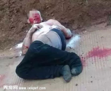 ��׷�١���ȻΪ��һֻ������Ҳ��Ҫ�ˣ�