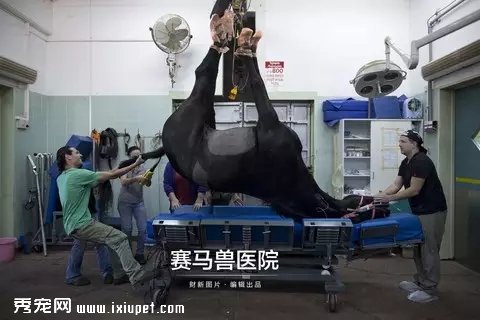 ��ͷ��¼������ҽԺ����ȫ���̡���ͼ��