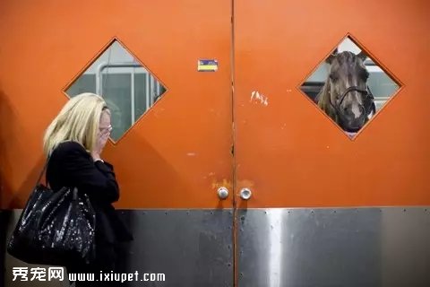 ��ͷ��¼������ҽԺ����ȫ���̡���ͼ��