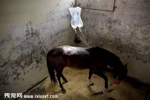 ��ͷ��¼������ҽԺ����ȫ���̡���ͼ��