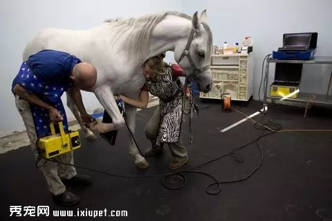 ��ͷ��¼������ҽԺ����ȫ���̡���ͼ��
