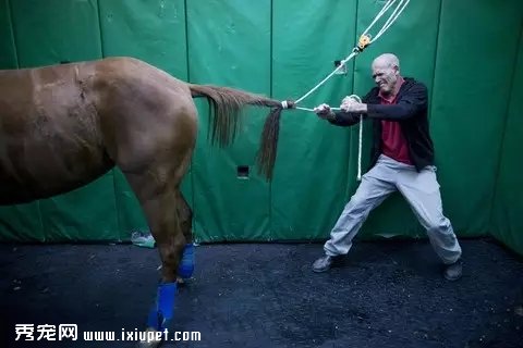 ��ͷ��¼������ҽԺ����ȫ���̡���ͼ��