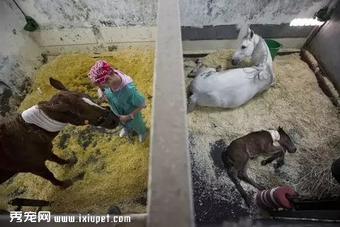 ��ͷ��¼������ҽԺ����ȫ���̡���ͼ��