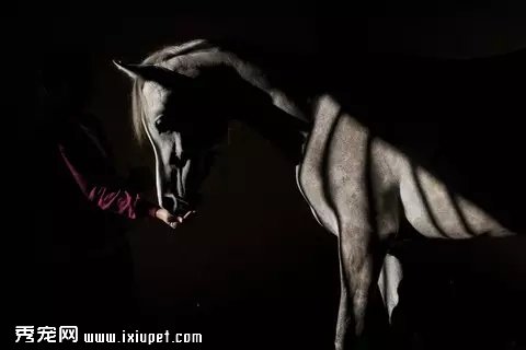 ��ͷ��¼������ҽԺ����ȫ���̡���ͼ��