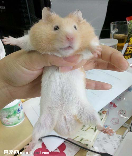 ӵ�������ʱ���������