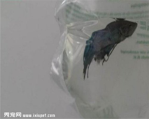 ���ӽ�����һϢ������ؼң���������ʱ�䴴��С���������漣��