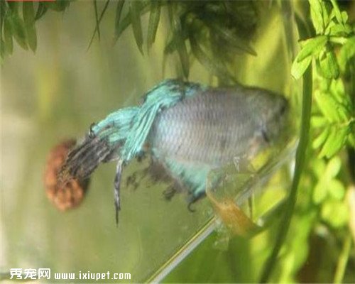 ���ӽ�����һϢ������ؼң���������ʱ�䴴��С���������漣��