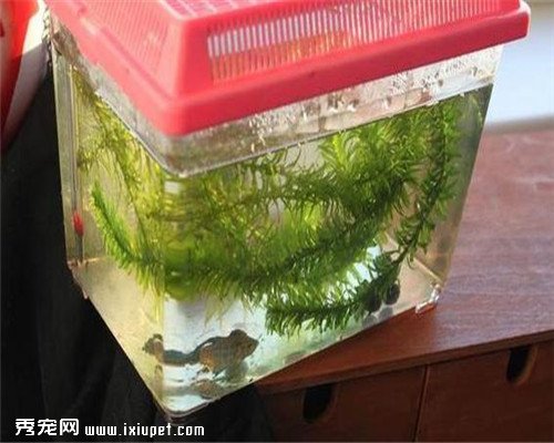 ���ӽ�����һϢ������ؼң���������ʱ�䴴��С���������漣��