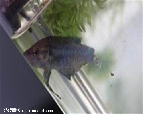 ���ӽ�����һϢ������ؼң���������ʱ�䴴��С���������漣��