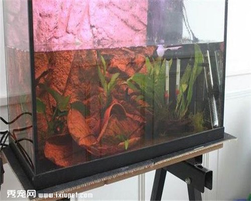 ���ӽ�����һϢ������ؼң���������ʱ�䴴��С���������漣��