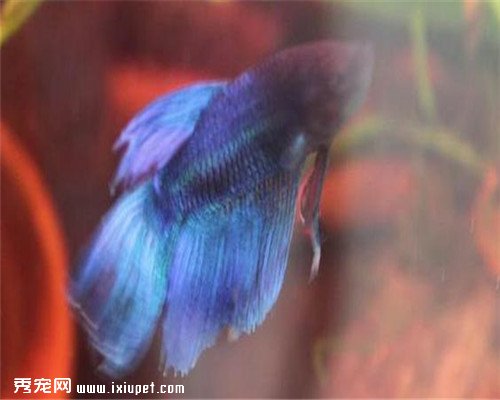 ���ӽ�����һϢ������ؼң���������ʱ�䴴��С���������漣��