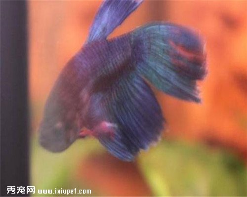 ���ӽ�����һϢ������ؼң���������ʱ�䴴��С���������漣��