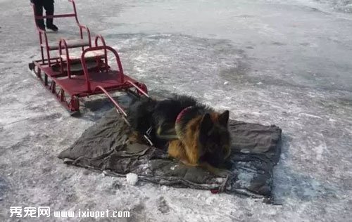 �ܾ���������������Ը��Ϊ����ת����