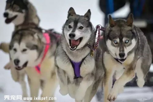 �ܾ���������������Ը��Ϊ����ת����