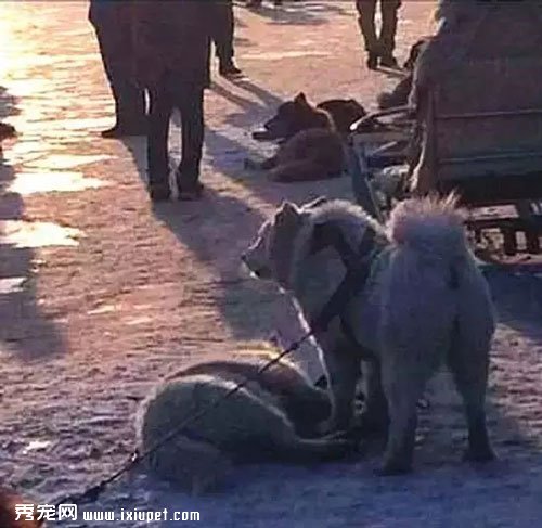 �ܾ���������������Ը��Ϊ����ת����