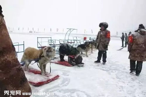 �ܾ���������������Ը��Ϊ����ת����
