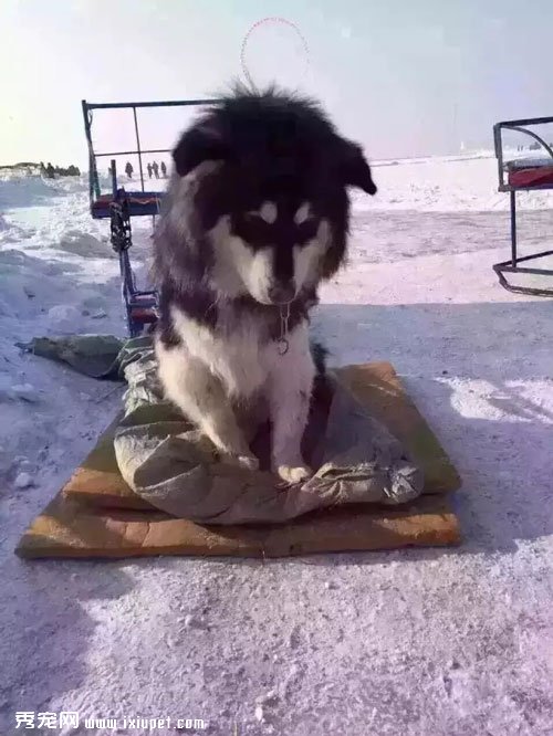�ܾ���������������Ը��Ϊ����ת����