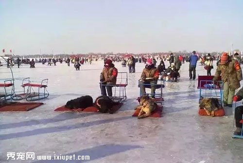 �ܾ���������������Ը��Ϊ����ת����