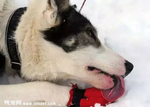 �ܾ���������������Ը��Ϊ����ת����
