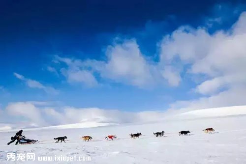 �ܾ���������������Ը��Ϊ����ת����