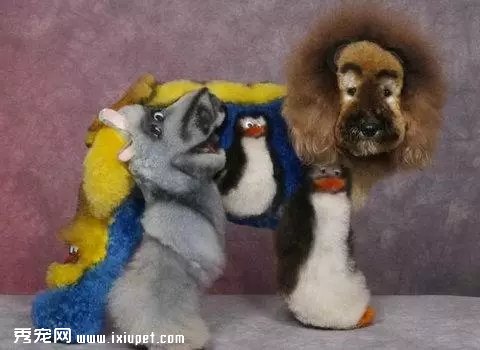 ������ʳ�Ư�� ����Ⱦë�������