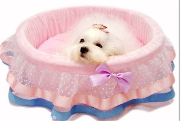 ���ʡ����ڡ����ص���������House���ر��ʺϳ���Ӵ��