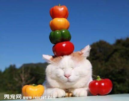 ����������ͷ����5�С��������������졾ͼ��