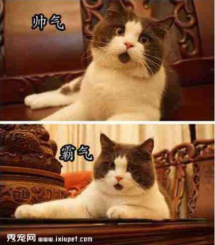 ����������ͷ����5�С��������������졾ͼ��