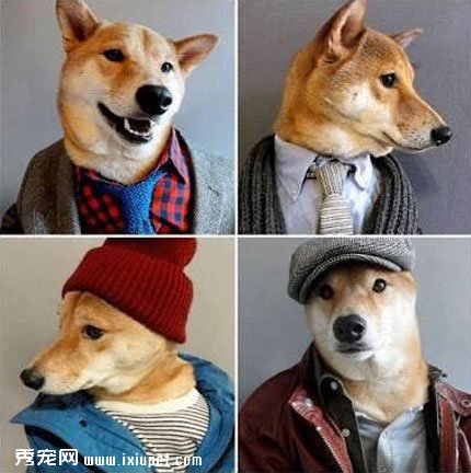 ����������ͷ����5�С��������������졾ͼ��