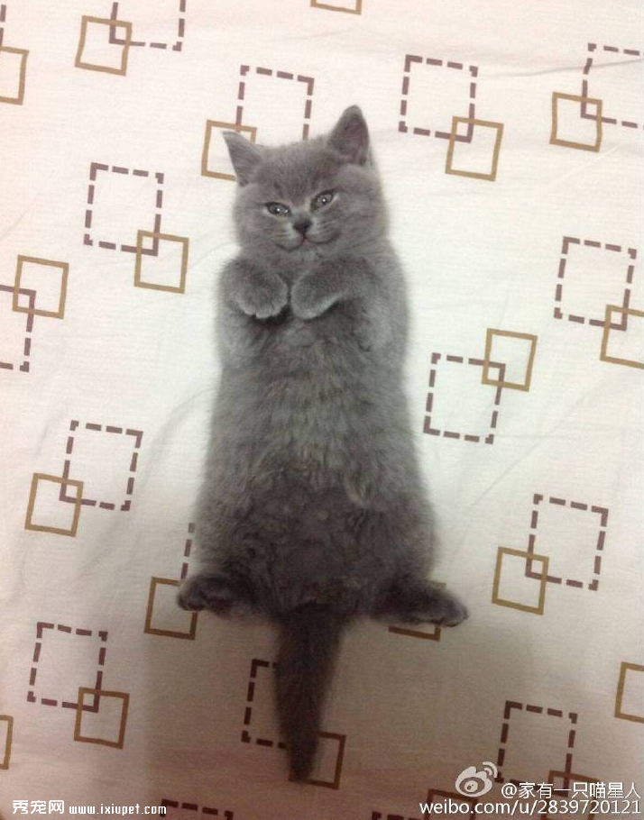 ��ϲ��