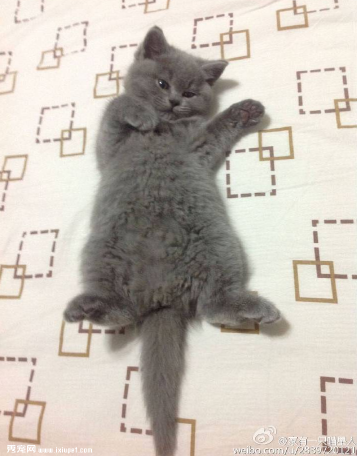 ��ϲ��