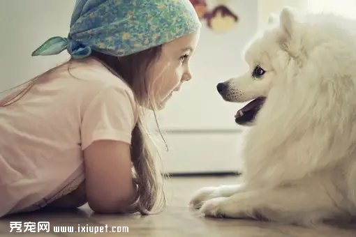 è������������ʮ�����ף�