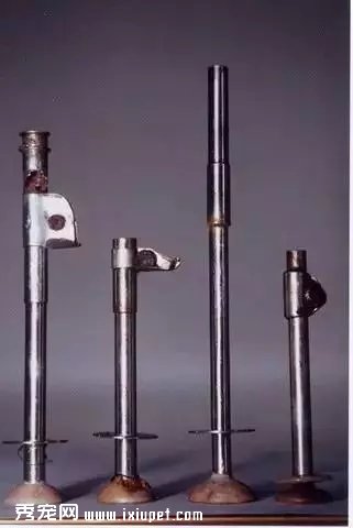 ĸ�ܺ���ɱ��С�ܣ�һ�����������飡