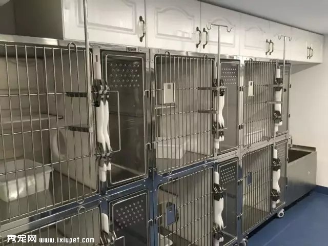 �㽭�׼�èר��ҽԺ���տ�ҵ��