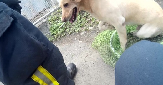 QQ��ͼ20150718221104.png